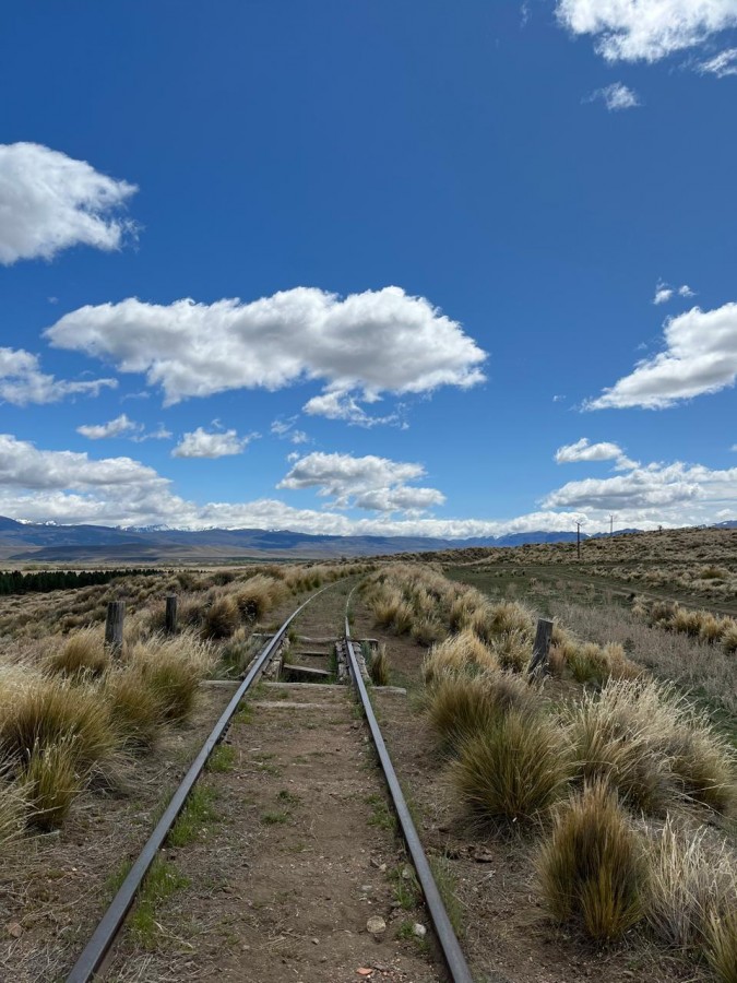 ABRIENDOME PASO EN LA PATAGONIA