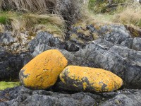 Piedras Oro