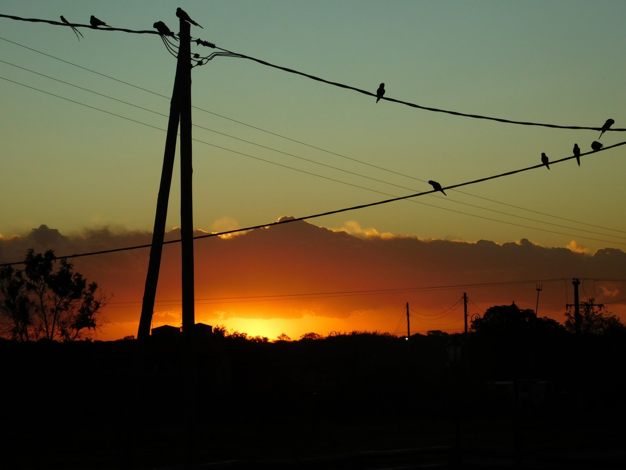 Y al atardecer de aquel da