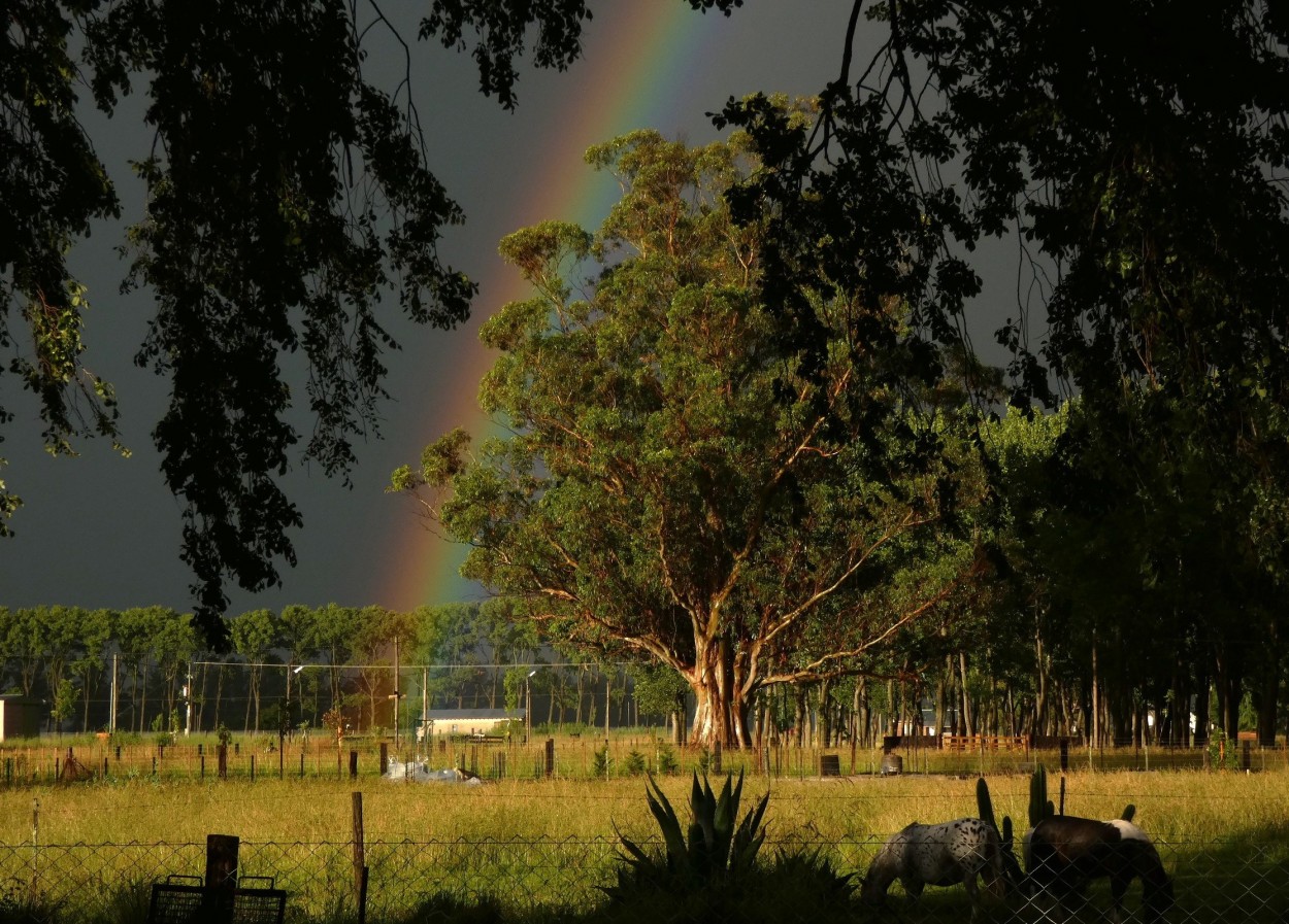 NACIMIENTO DEL ARCOIRIS