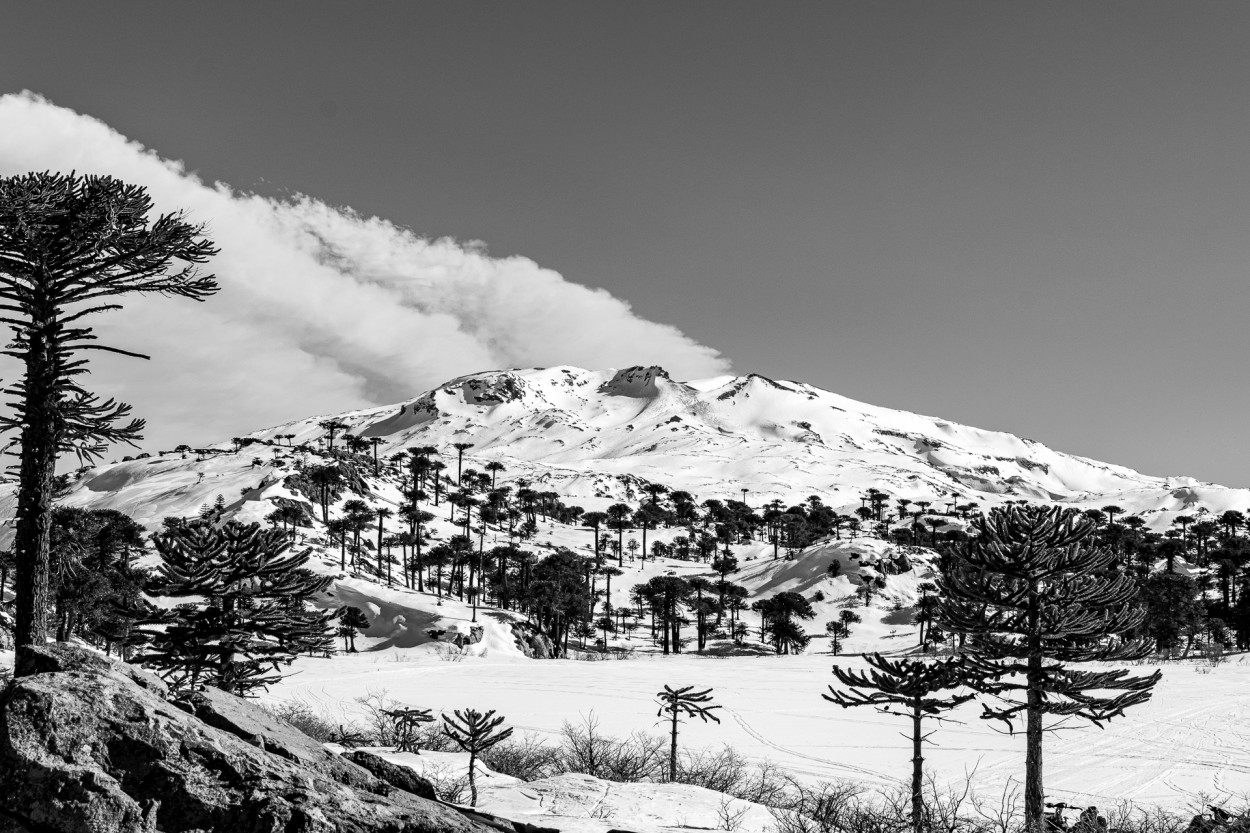 Volcn Copahue, Neuqun