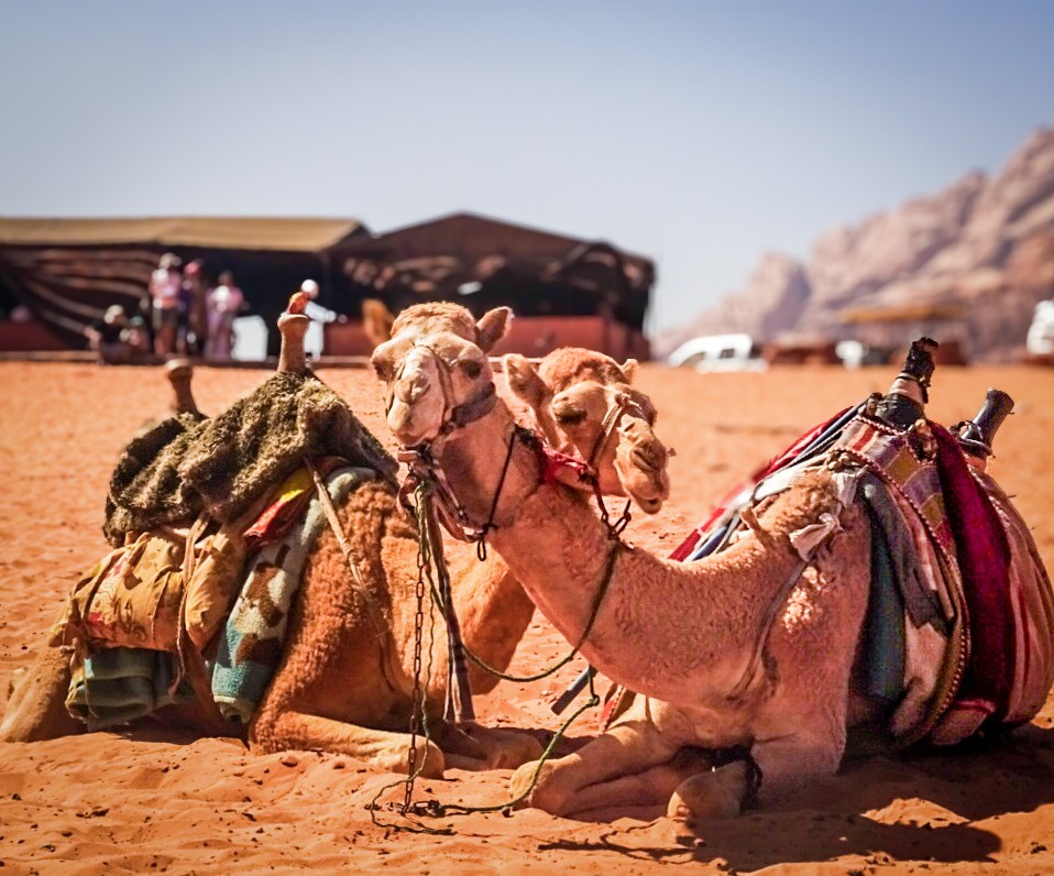 amor en el desierto