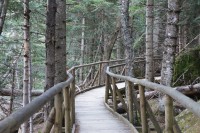 Camino a la naturaleza.