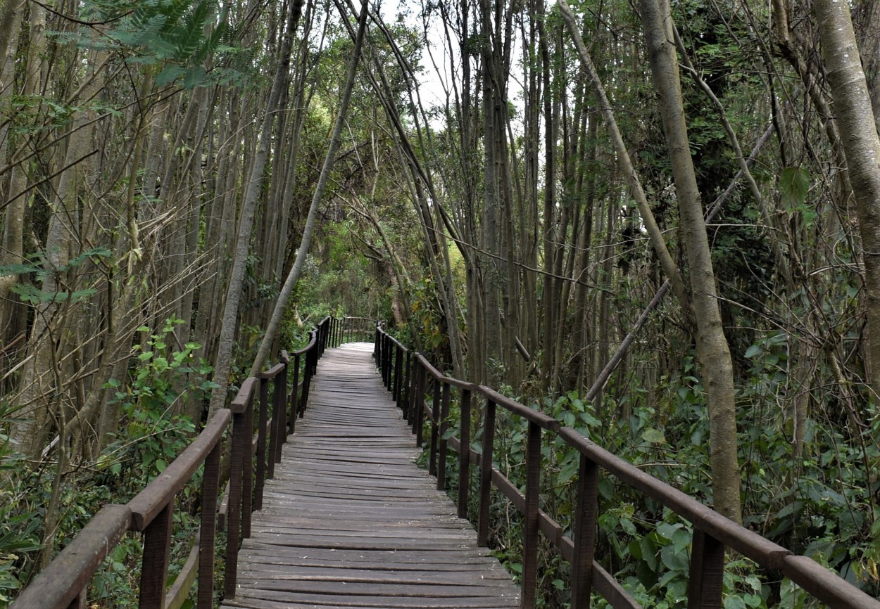 Paseo por el Predelta1