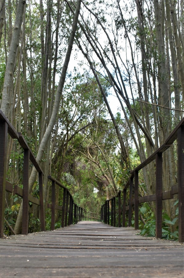 Paseo por el predelta3