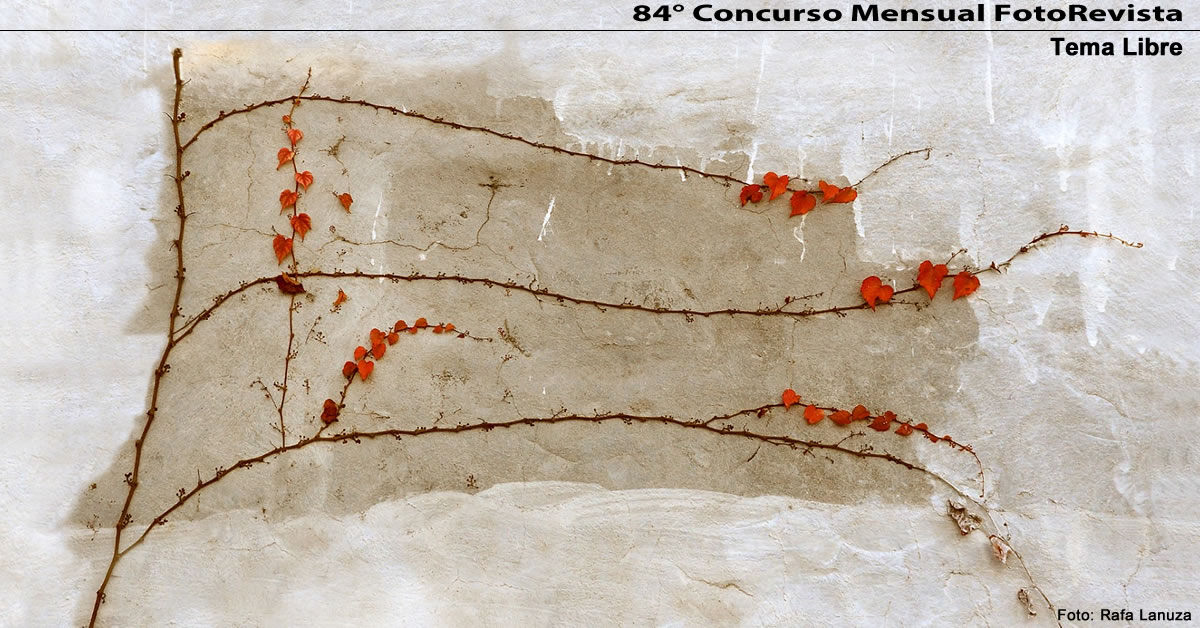 84° Concurso Mensual de FotoRevista
