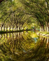 Reflejos en el arroyo.