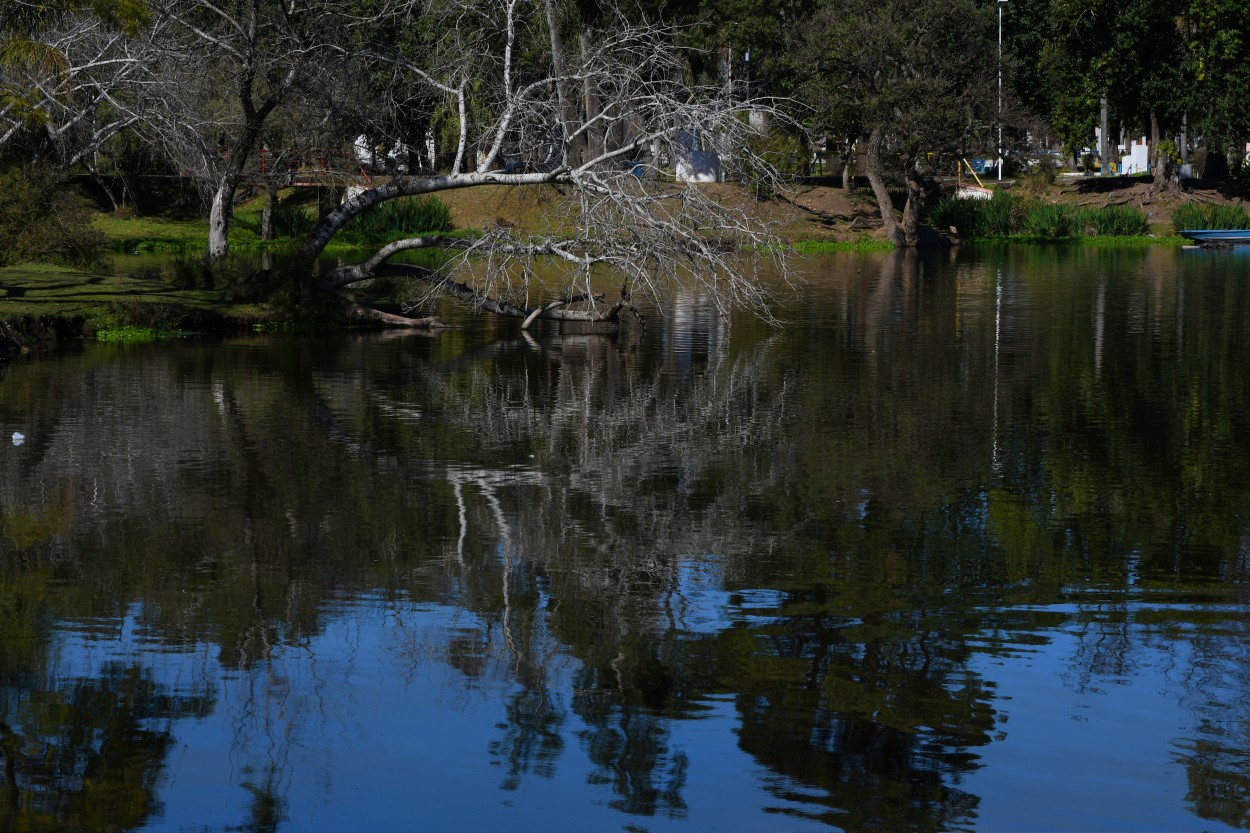 Reflejo en el agua