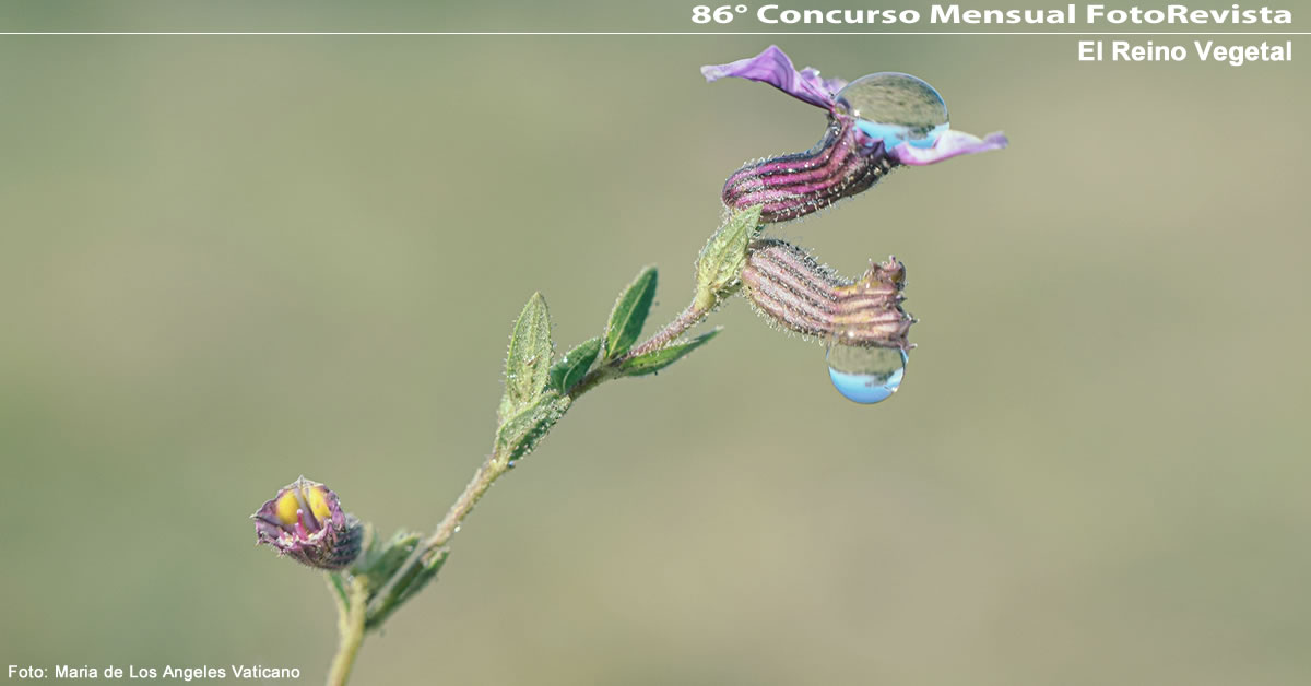 86° Concurso Mensual de FotoRevista