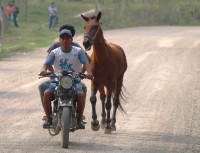 ARREO MOTORIZADO