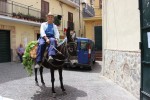 medio de trasporte tradicional en Cropalati