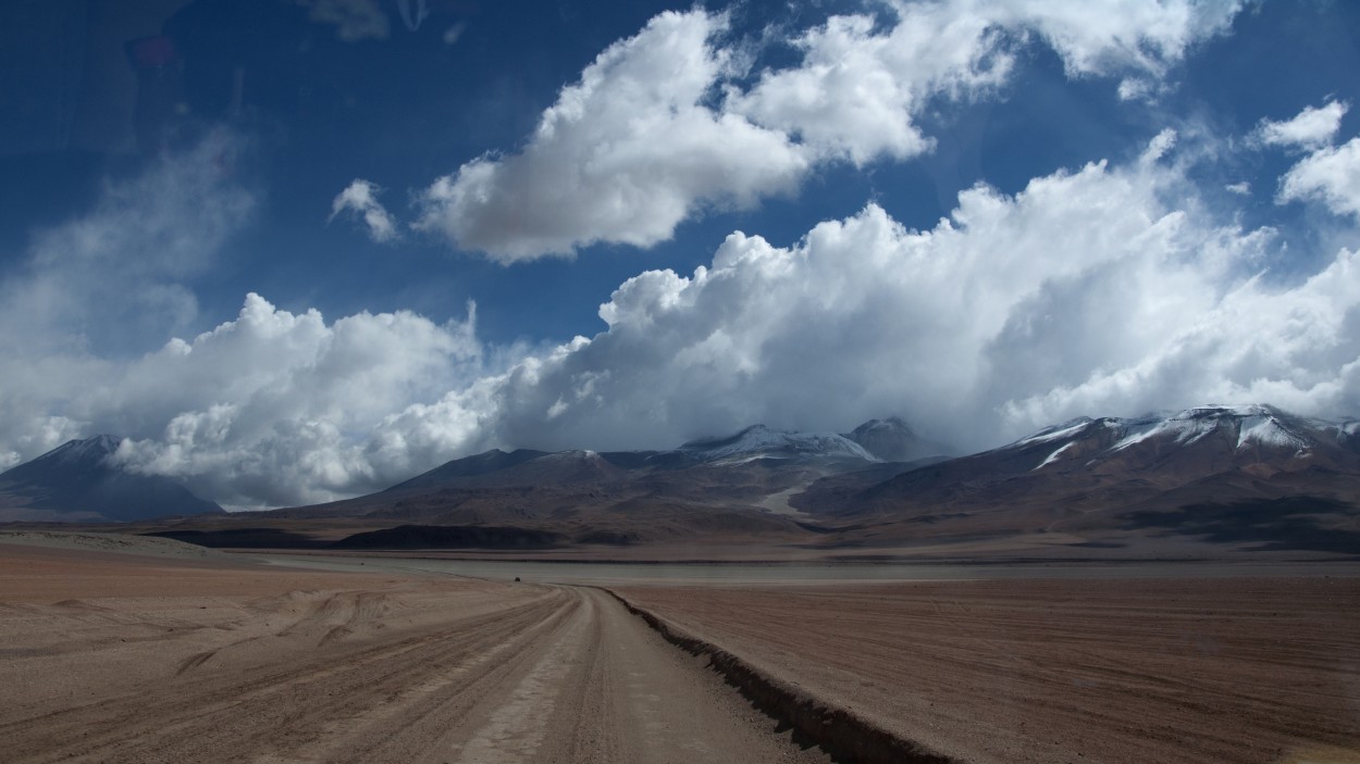 puna boliviana 3