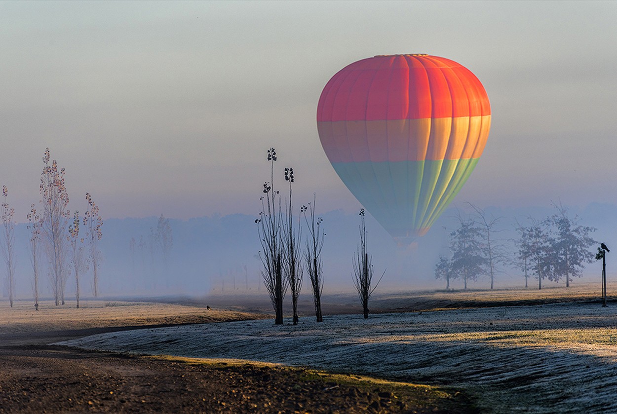 Globos en Lujn