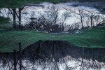 La naturaleza es un reflejo