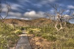 Caminito al cerro