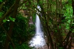 LA CASCADA ESCONDIDA