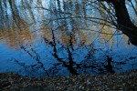 REFLEJOS EN EL RIO