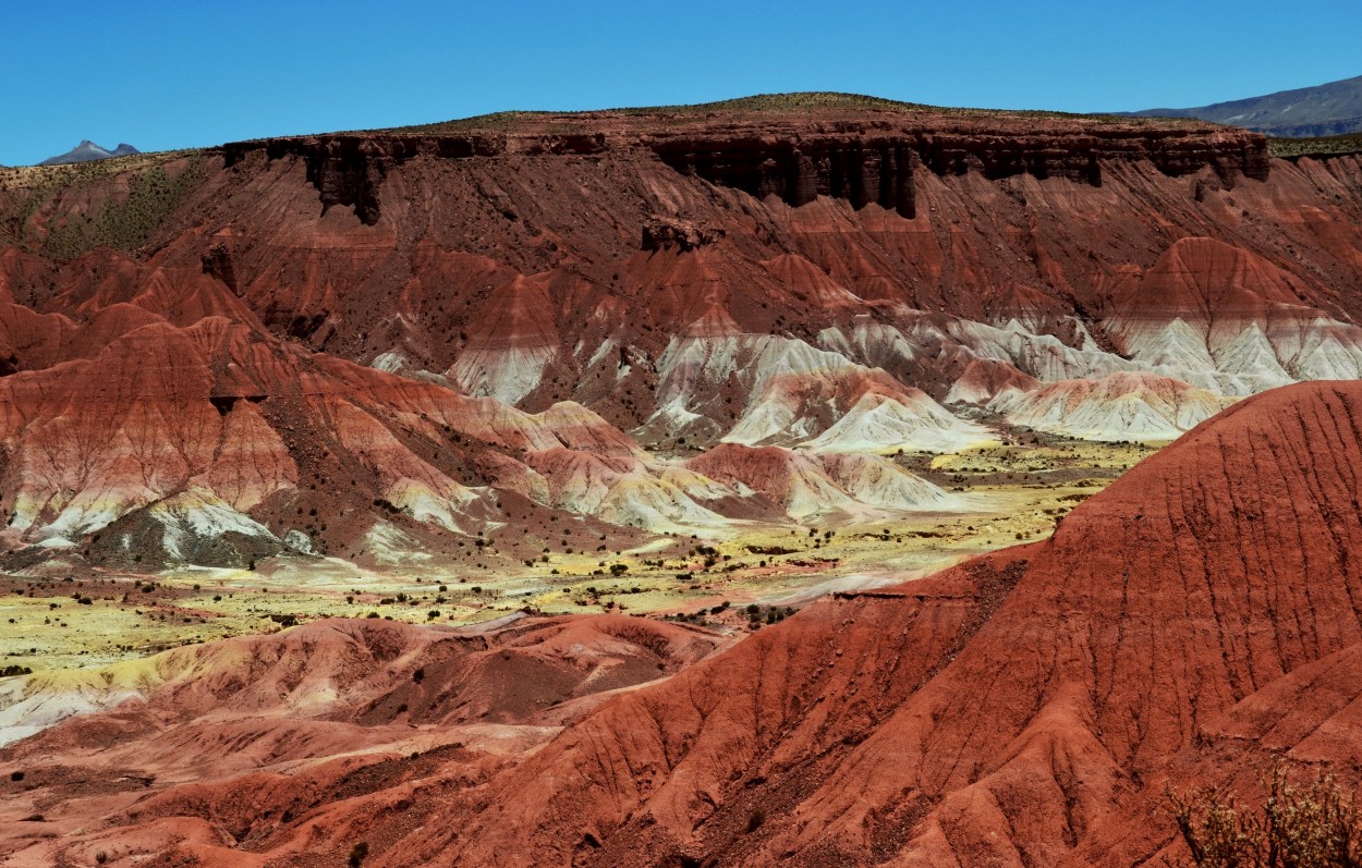 VALLE DE LA LUNA DE CUSI CUSI, RINCONADA, JUJUY