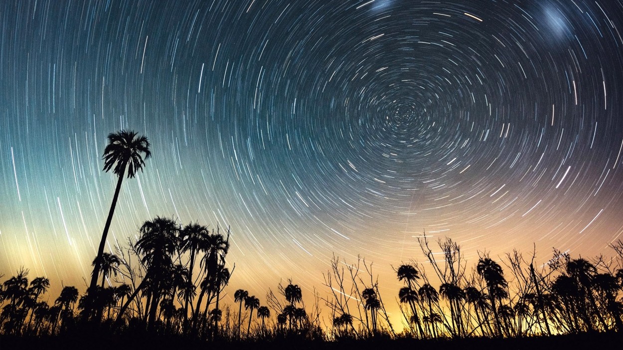 El Palmar - Estrellas