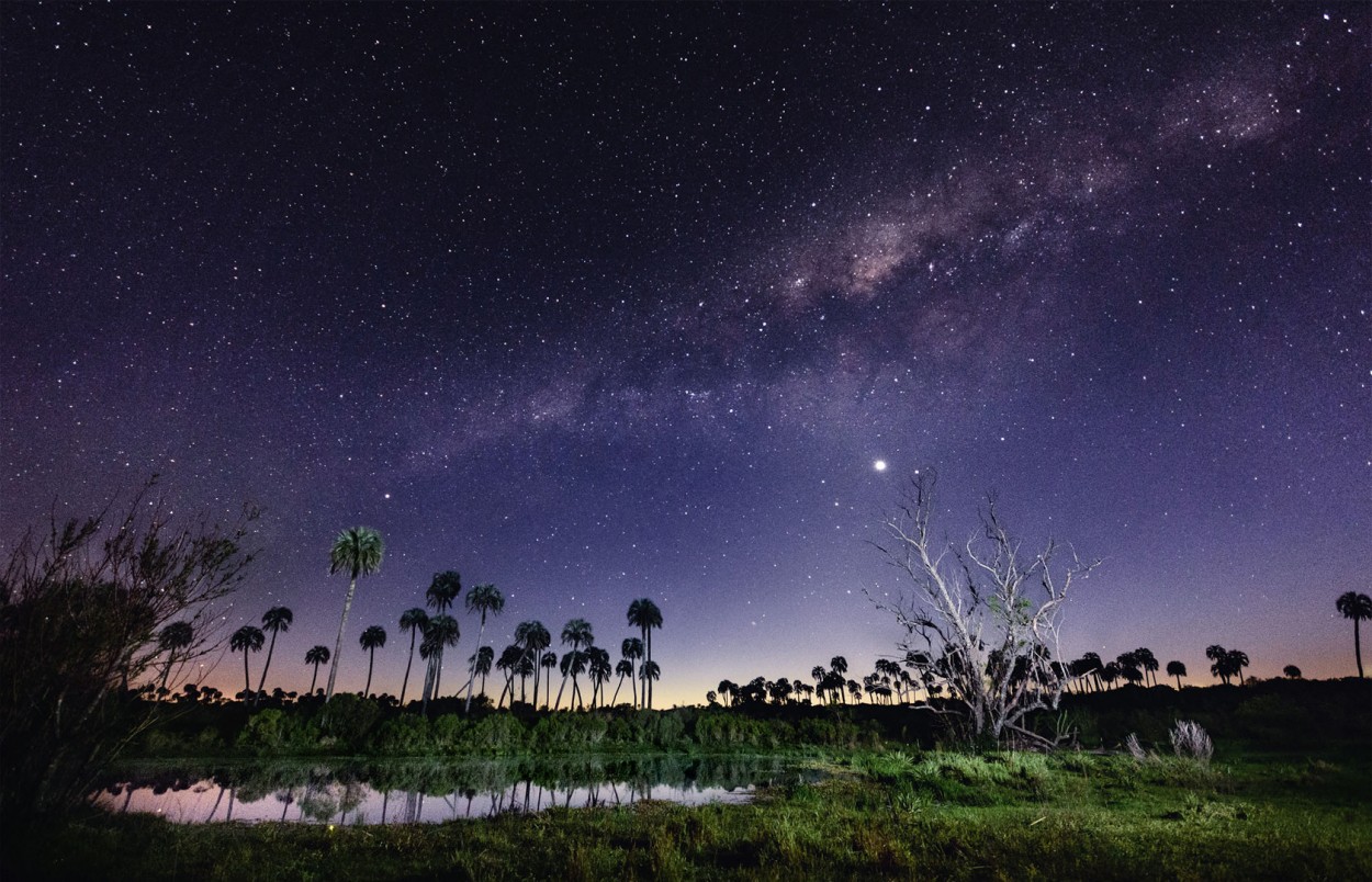 El Palmar - Va Lactea