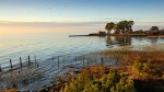 Punta Indio - Muelle