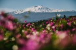 Etna