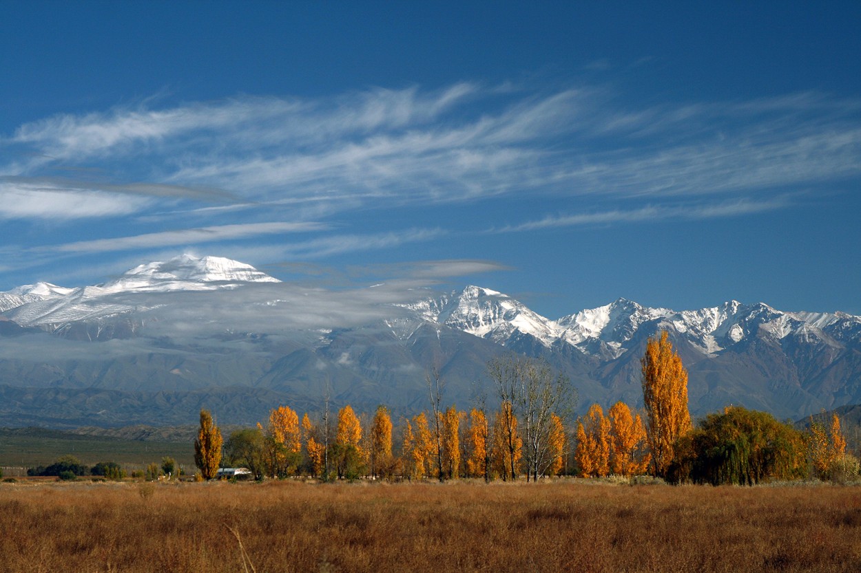 Otoo en Mendoza