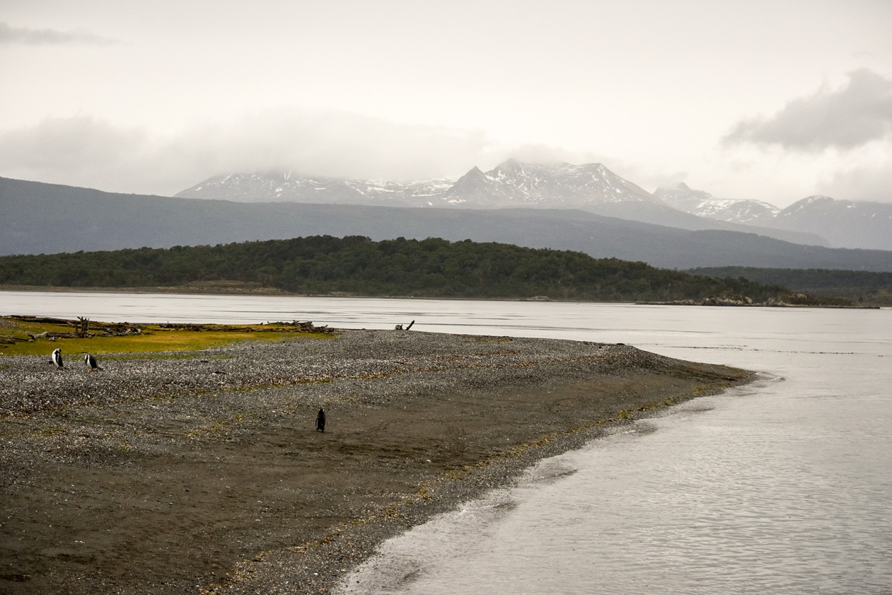 Tro en El Beagle