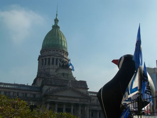 El pinguino aprieta al congreso