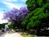 PLaza Espaa - Barracas