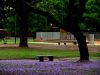 PLaza Espaa - Barracas