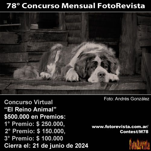 78 Concurso Mensual FotoRevista