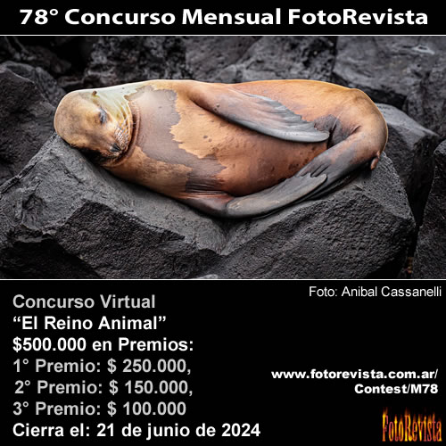 78 Concurso Mensual FotoRevista