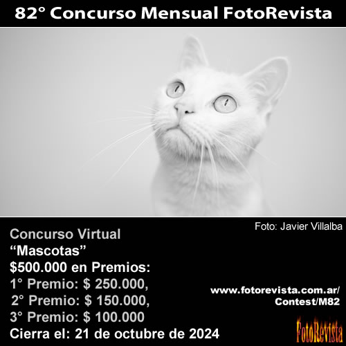 82 Concurso Mensual FotoRevista