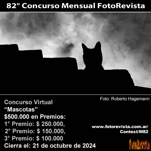 82 Concurso Mensual FotoRevista