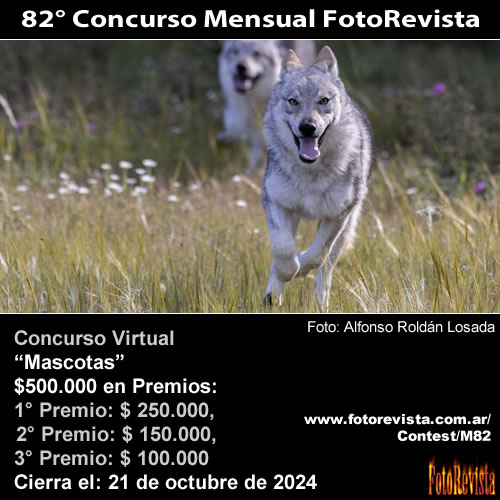 82 Concurso Mensual FotoRevista