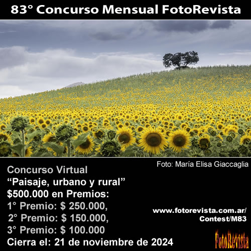 83 Concurso Mensual FotoRevista