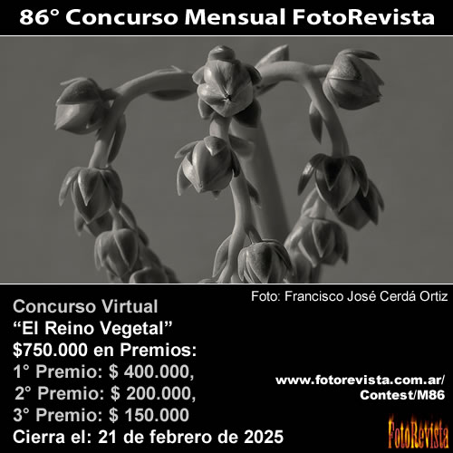 86 Concurso Mensual FotoRevista