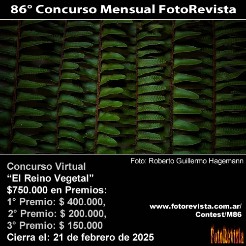 86 Concurso Mensual FotoRevista