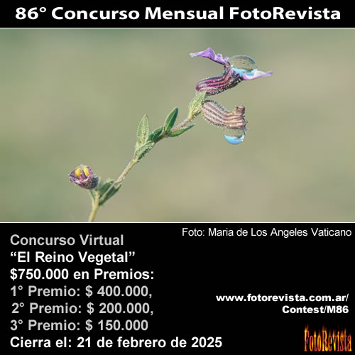 86 Concurso Mensual FotoRevista