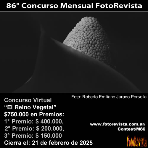 86 Concurso Mensual FotoRevista