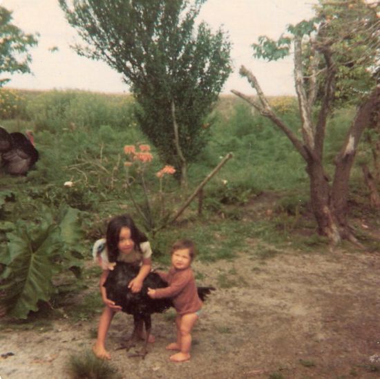 "vida en el campo" de Perla Lopez