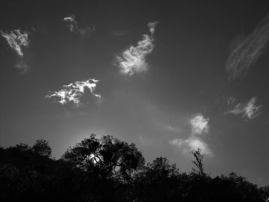 "Cielito lindo" de Ricardo Palmadessa