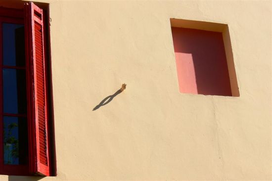 "Sombras" de Alejandra Ruiz de Mendarozqueta