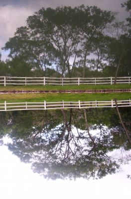 "lago reflejado" de Ivn Pawluk