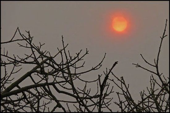 "sol de humo" de Mirta Steinberg