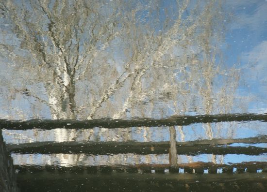 "Rios de leo" de Beatriz Vidal