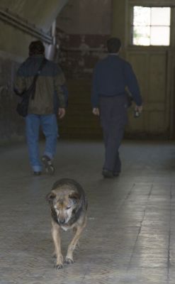 "caminos opuestos" de Miguel Nicolini