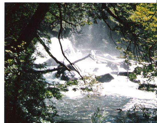 "rio cisne en lago menendez" de Beatriz Di Marzio