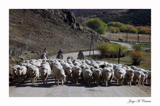 "`Paseo Matinal" de Jorge A. Cceres